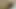 Anal plug içinde göt ve oyuncak içinde kedi sıcak çift orgazm