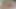 Tushy tombul tanrıça Vic Marie mükemmel götünü dolduruyor