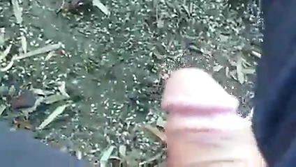 parkta cumming
