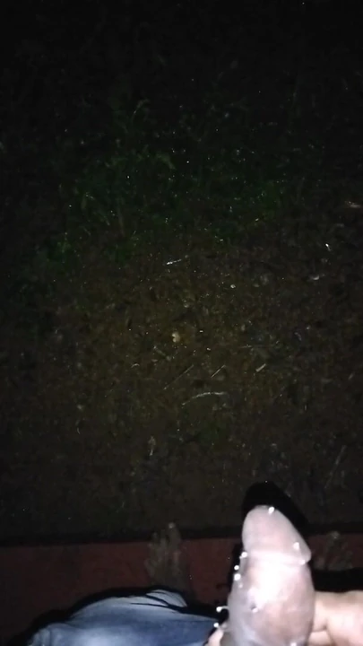 Night pissing. Part 2. Nice cock, home made. cute cock, dick