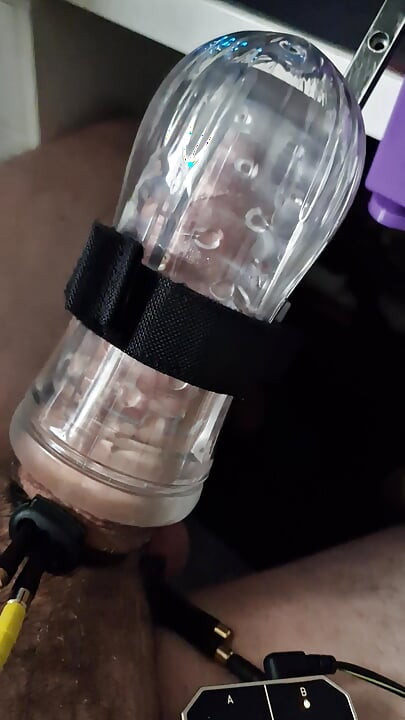Milked and E-Stimmed