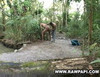 Pregled videozapisa