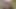 18+ Rus kız öğrenci ormanda sakso çekti, büyük göt, küçük memeler.
