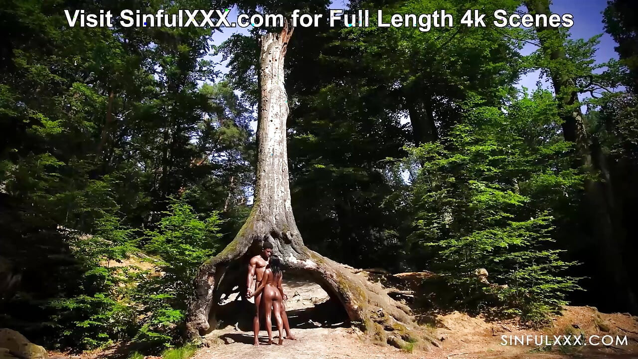 SinfulXXXによるColors Of Love 3