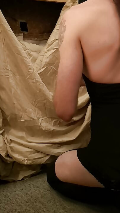 Waiting for the cock