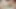 NURU MASSAGE - HOT BLONDE MASSEUSES COMPILATION! Adira Allure, Sophia Lux, Lilly Bell, AND MORE!