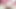 ホリーがらくた！ （巨尻アジア人）
