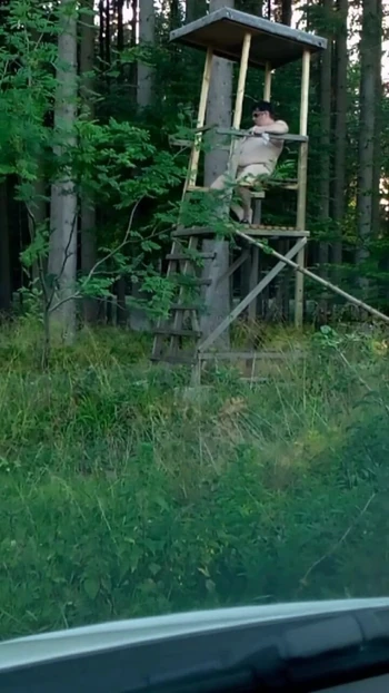 Hunter's Stand