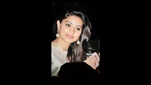 Sneha döl haraç