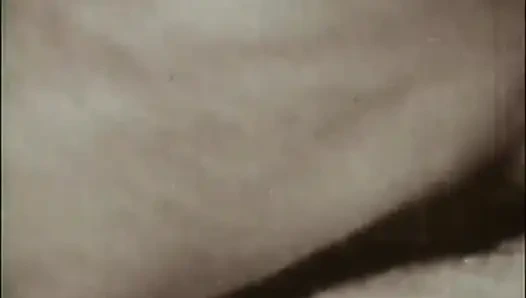 Siktirlerin Maceraları