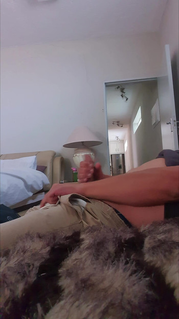 抚摸我的鸡巴直到我高潮