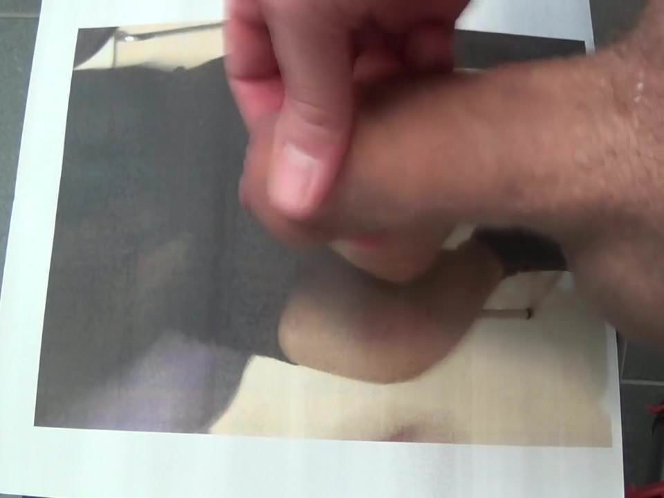 bobcatシリーズへのオマージュ