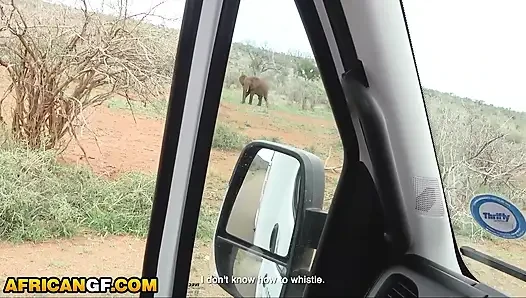Zenci kız arkadaşım, safari sırasında masum davranıyor... Sonunda boşalmam için yalvardı