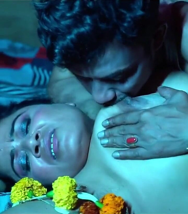Fantasy Sex at Home Party After so Long Time! Hindi Free Sex