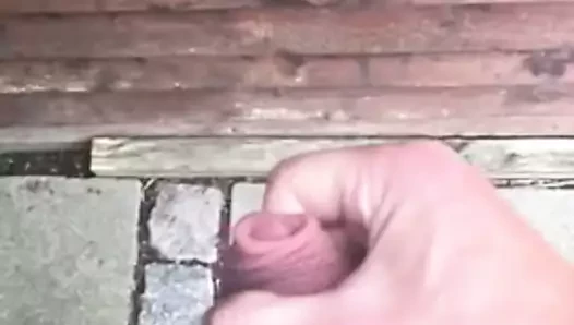 Spermshow