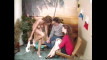 Pregled videozapisa