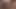 Hotwife Latin milf spitroast becerdin koca ve onun arkadaşı