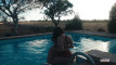 Pratinjau video