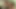 A Big Dick for a Fat Titted Hot Cougar Big Ass