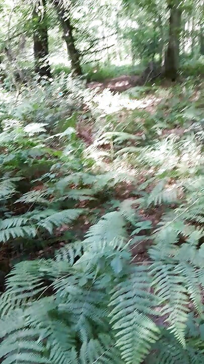 Quick jerk and cumshot in the woods