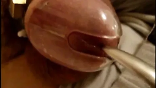 CBT Cock and Ball Torture