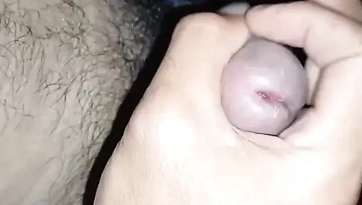 A Squirrel's Tail Finally Comes To An End