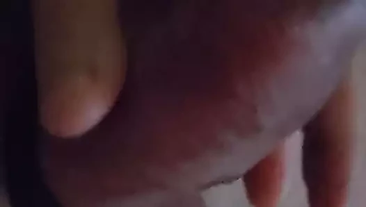 Tm72279