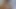 Honeymoon With a Trans Girl Teaser