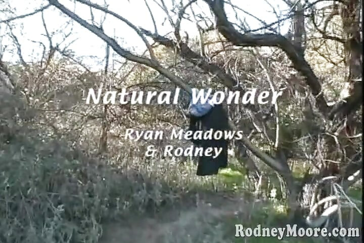 털이 무성한 보지 애널 섹스 야외 오럴 빈티지