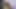 Büyük göt Hint genç dik zambak Başlarken şaplak