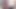 A big wavy old cock cumming slowly!!
