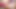 Intense double penetration with anal creampie and scandalous squirt of Only Ku a very hot lonly woman 💦