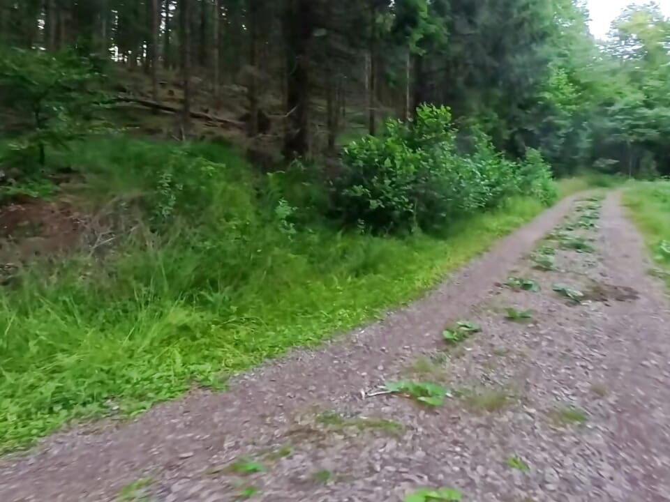 Nude hike in the greenery of  teenager