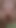 Pregnant wife gets fisted by stepson short 9