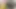 Hintli kadın pembe dudaklarıyla büyük yarak emiyor