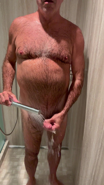 Shower hand held