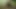 terminator vs predator preview