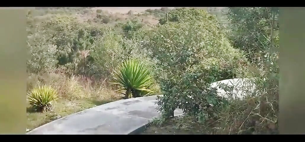 Potecă, cascadă și mult sex în public!