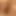 Anal genç orgazm