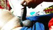 Pregled videozapisa