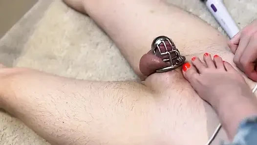 Good Boy Require