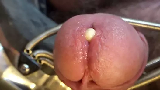 Eski bir fildişi sesiyle çiş deliğimin yakın çekimi