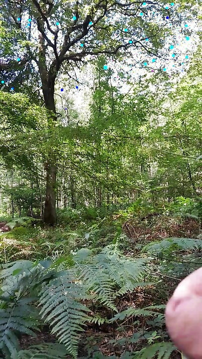 Rask rykk og cumshot i skogen