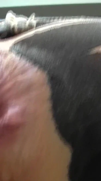 Iconic moment from "Extended anal training with squirting - Little Sunshine MILF"