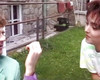 Pregled videozapisa