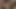 Cici Rhodes teaser 1