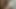 Big dick head cumshot