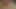 アナルプラグでミルフのアナルとチンポが膣で突かれる
