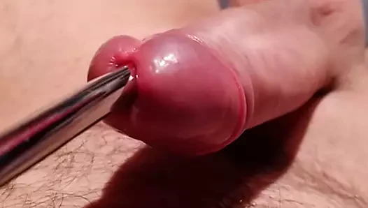 Belgian porn video – Big cock sounding