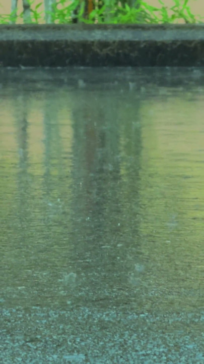Bare Legs in the Rain